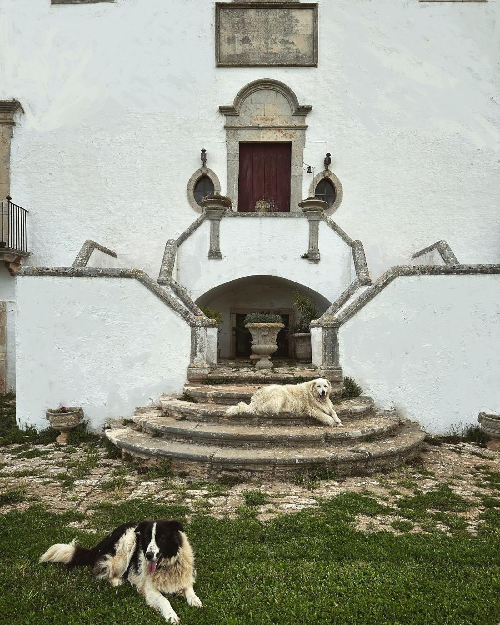 Masseria Murgia Albanese Νότσι Εξωτερικό φωτογραφία