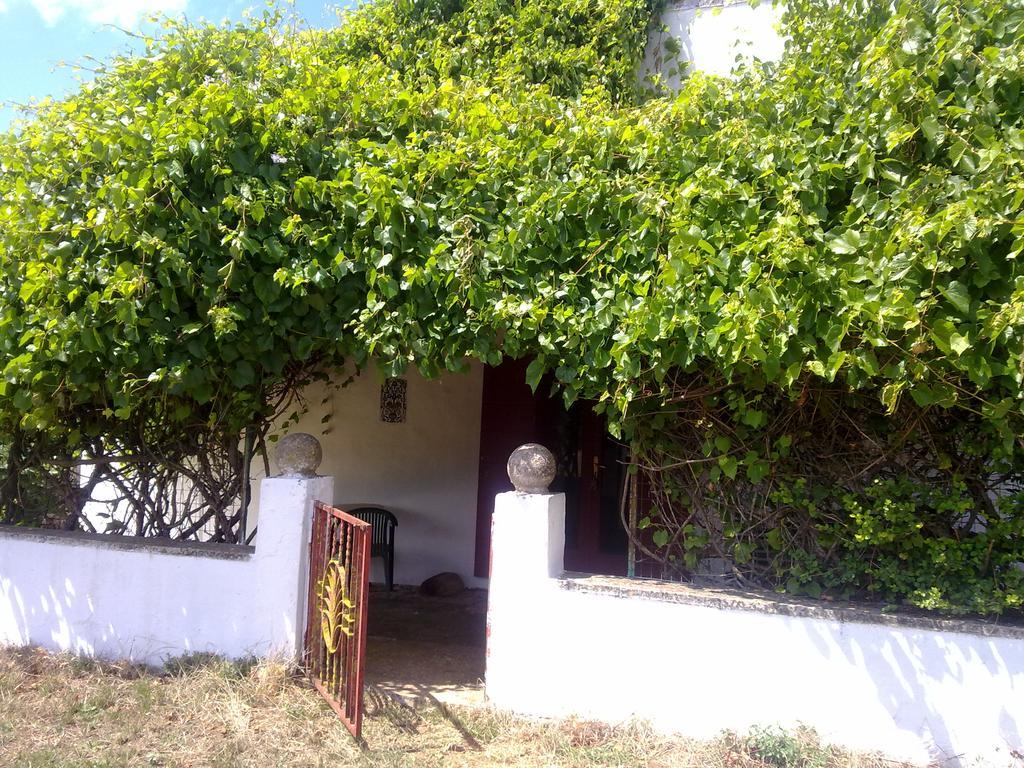 Masseria Murgia Albanese Νότσι Εξωτερικό φωτογραφία